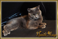 1 14
