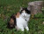 yamaxa